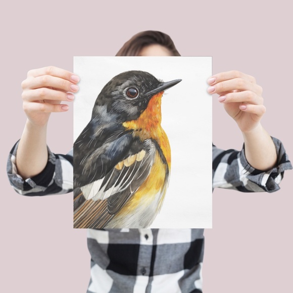 Watercolor American Redstart Bird Print Unframed - Wall Art Bird Illustration - Picture 5 of 6